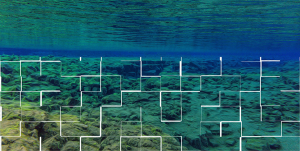 Read more about the article Machine Learning for Seafloor Geology